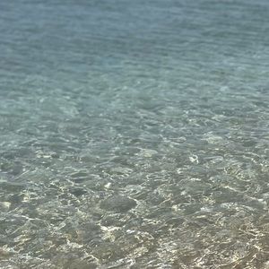 Meet your Posher, Chloe